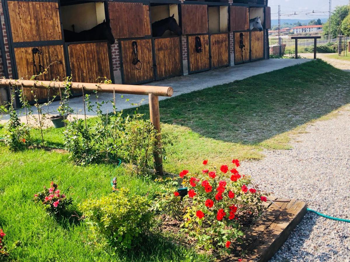 B&B Tenuta Legnate Sesto Calende Exteriör bild