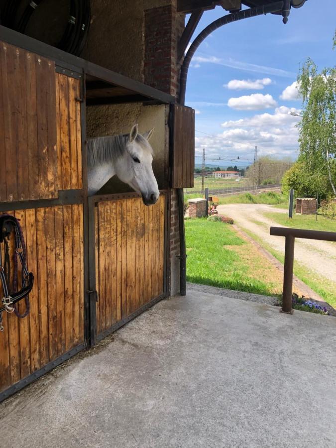B&B Tenuta Legnate Sesto Calende Exteriör bild